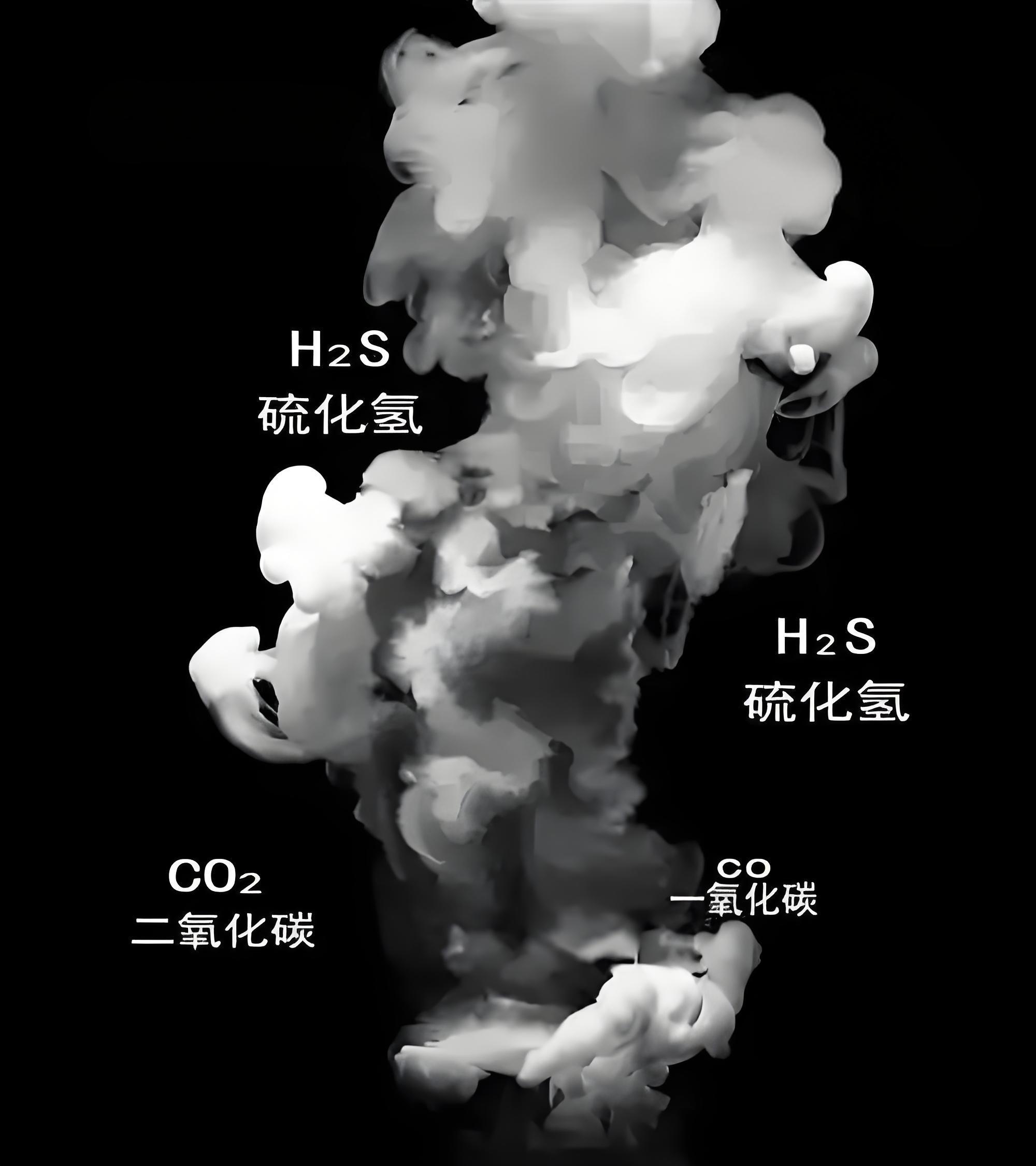 有毒氣體檢測儀一般使用場景有哪些